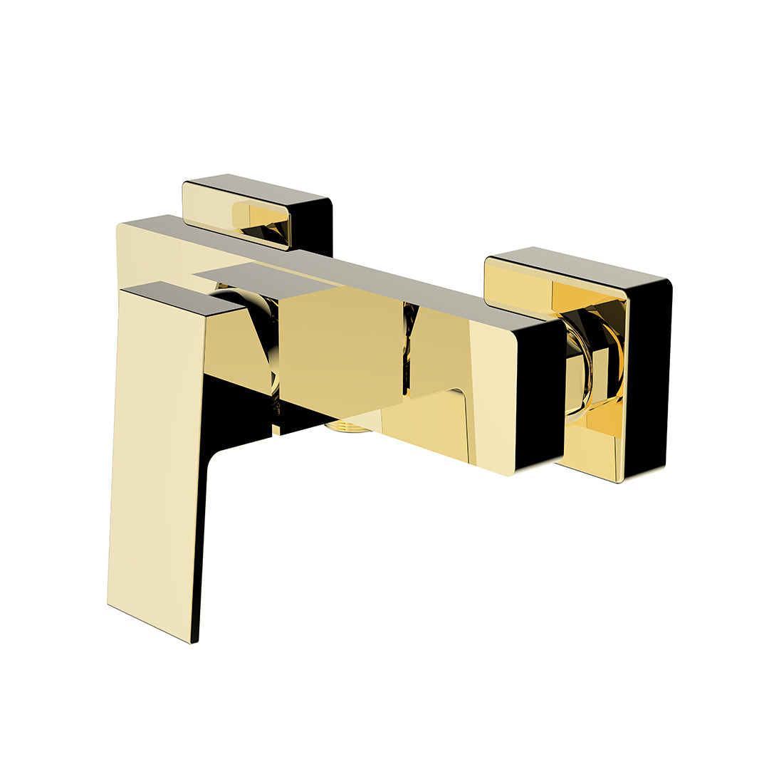 TS+ Shower Faucets Exposed