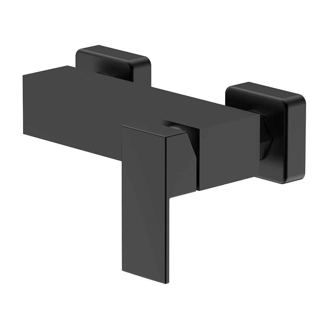 TS+ Shower Faucets Exposed