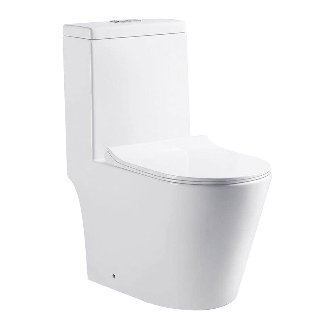 TR Floor-standing One-piece WC