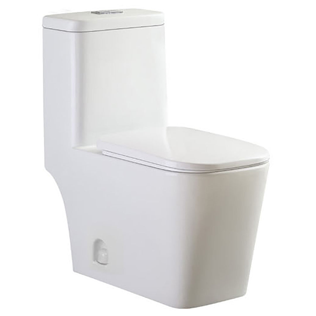 TS Floor-standing One-piece WC