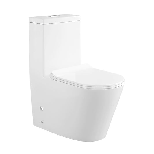 TR Floor-standing One-piece WC
