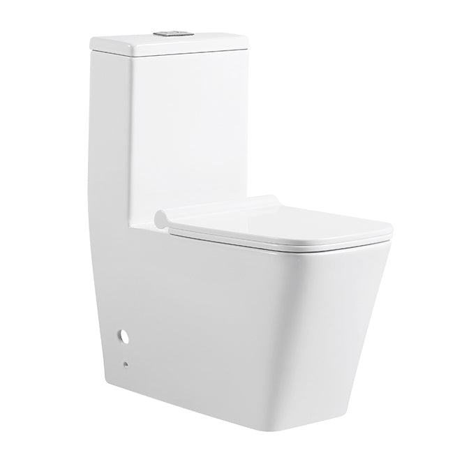 TS Floor-standing One-piece WC