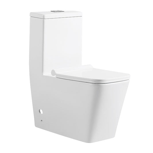 TS Floor-standing One-piece WC