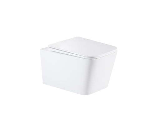 TS+ Wall-hung WC